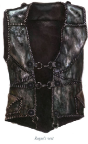 roguesvest.png